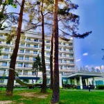 Корпус санаторію «Шахтар» у Трускавці з зеленим парком і гамаком серед сосен