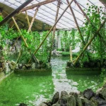 Басейн з зеленню і камінням у віллі Хижина SPA у Трускавці