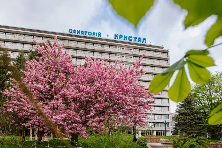 Санаторій Кристал у Трускавці весняний пейзаж з квітучою рослинністю