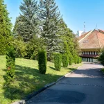 Зелена територія з хвойними деревами біля санаторію «Кришталевий Палац» у Трускавці