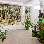 Рецепція вілли Хижина SPA у Трускавці з білими диванами та рослинами